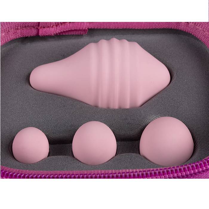 FEMINTIMATE - PELVIX CONCEPT BOLAS 100% TERAPÃUTICAS