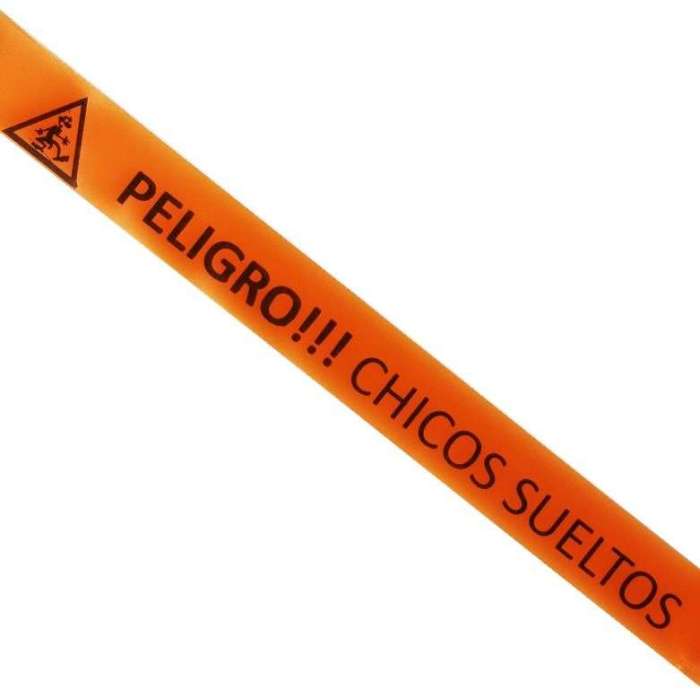BANDA PELIGRO CHICOS SUELTOS