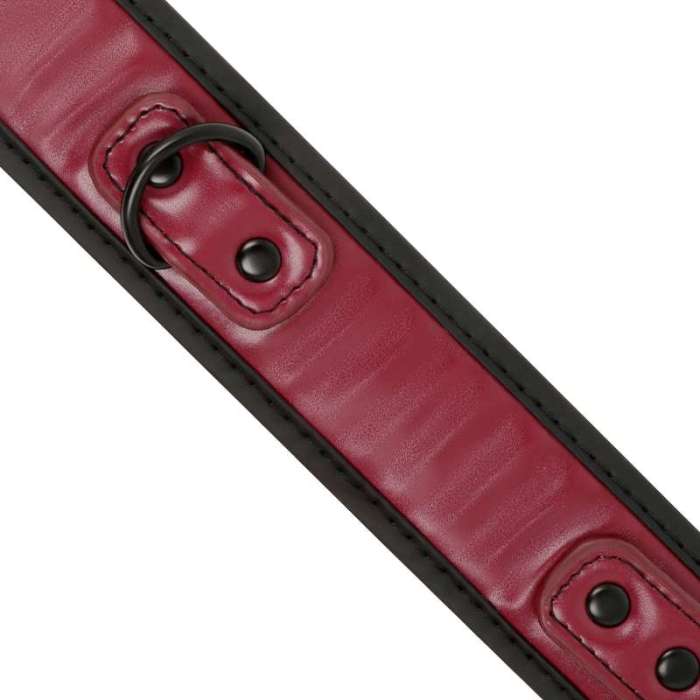 CONJUNTO DE ALGEMAS E COLEIRA UNIDA POR CORRENTE DE METAL