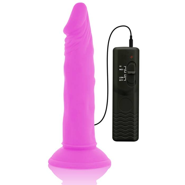 VIBRADOR COM CONTROLE REMOTO - DIVERSIA 23 CM