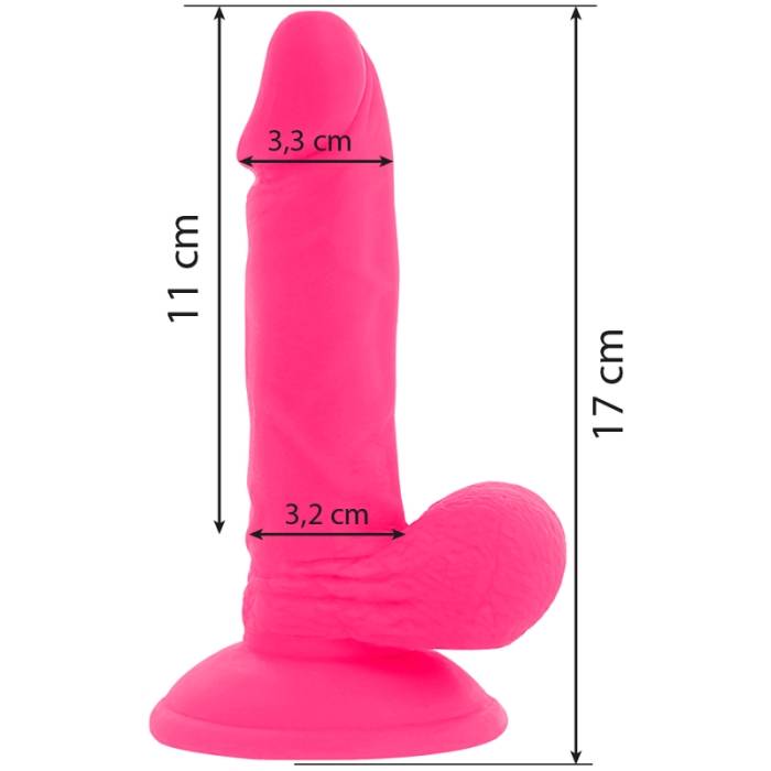 VIBRADOR COM CONTROLE REMOTO - DIVERSIA 17 CM