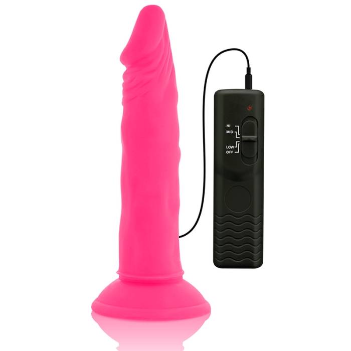 VIBRADOR COM CONTROLE REMOTO - DIVERSIA 23 CM