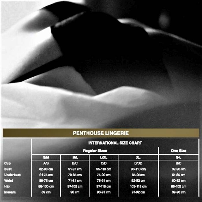 PENTHOUSE SCANDALOUS TEDDY BRANCO XL