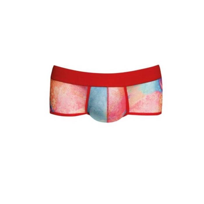 ANAIS HOMENS - FALCON BRIEF S