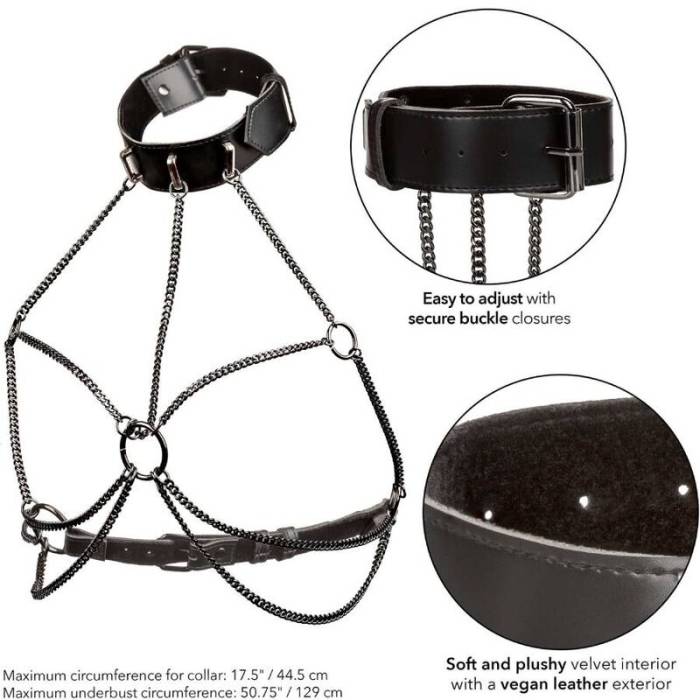 CALIFORNIA EXOTICS - EUPHORIA PLUS SIZE MULTI CHAIN COLLAR ARNÊS