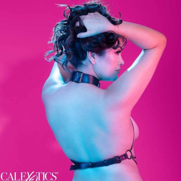 CALIFORNIA EXOTICS - EUPHORIA PLUS SIZE MULTI CHAIN COLLAR ARNÊS