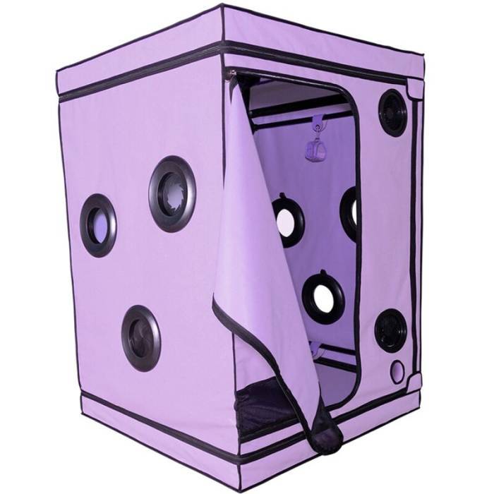SECRET DOME - ESCÃNDALO ROXO DO CLUBE KINK