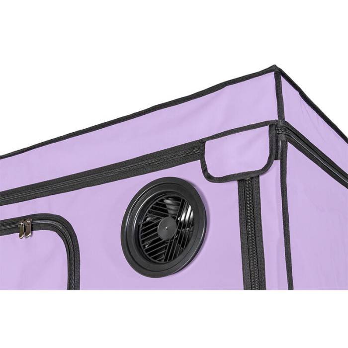 SECRET DOME - ESCÃNDALO ROXO DO CLUBE KINK