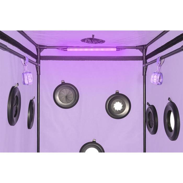 SECRET DOME - ESCÃNDALO ROXO DO CLUBE KINK