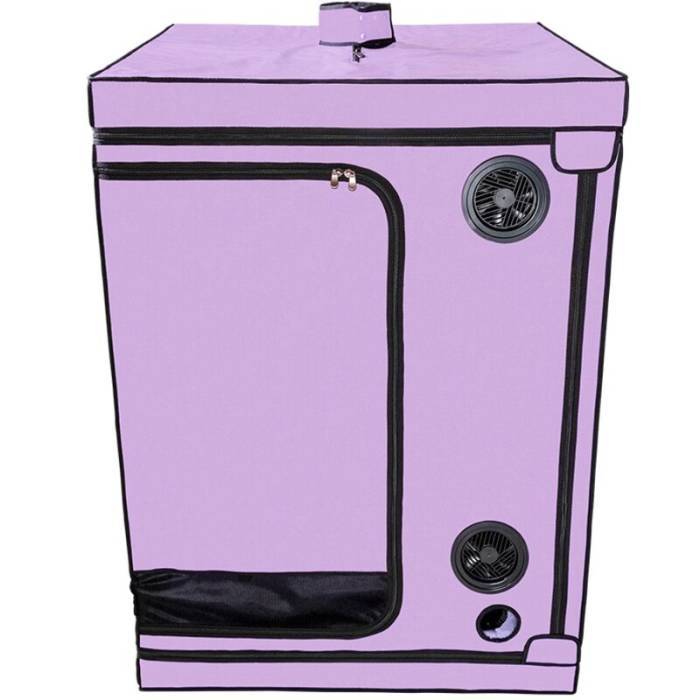 SECRET DOME - ESCÃNDALO ROXO DO CLUBE KINK