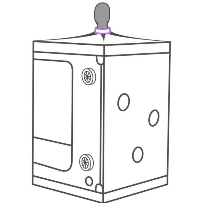SECRET DOME - ESCÃNDALO ROXO DO CLUBE KINK