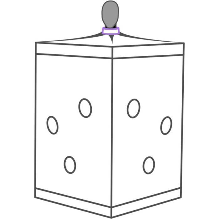 SECRET DOME - ESCÃNDALO ROXO DO CLUBE KINK