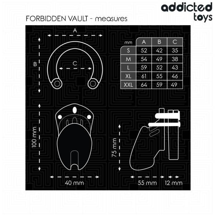 ADDICTED TOYS LOCKED - GAIOLA PARA PÃNIS FORBIDDEN VAULT 10 CM