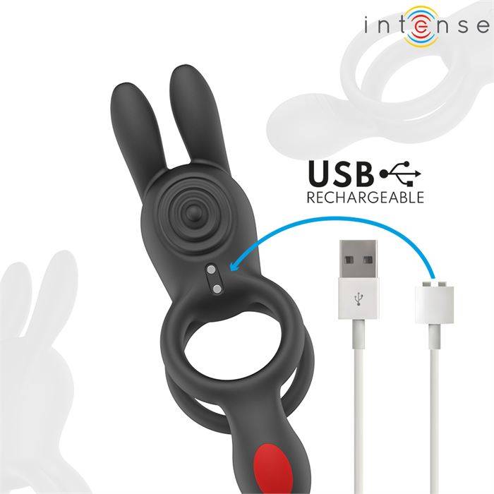 INTENSE - ANEL VIBRATÃRIO DUPLO QUINN COM CONTROLE REMOTO