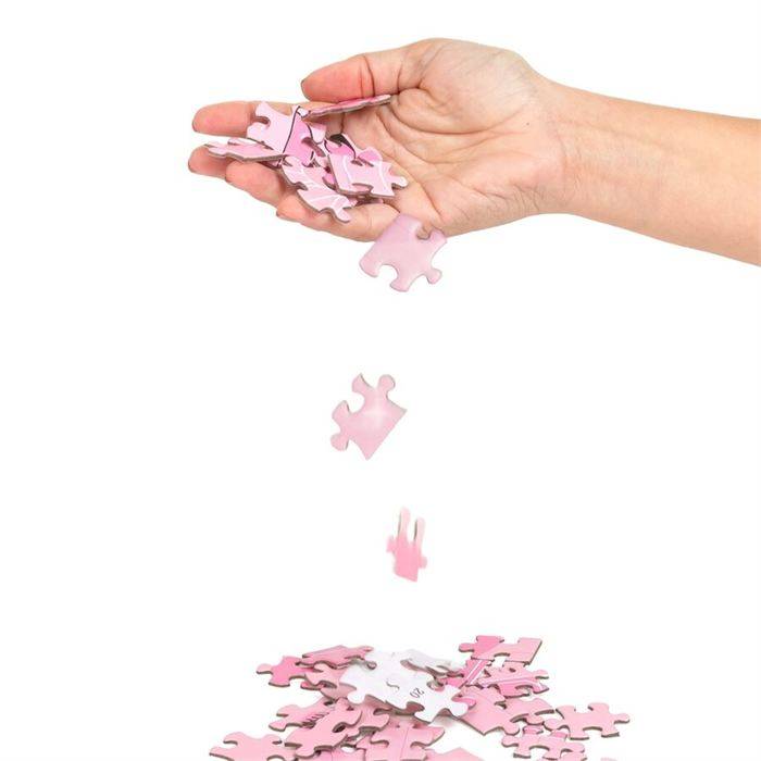 SECRET PLAY - PUZZLE GAME