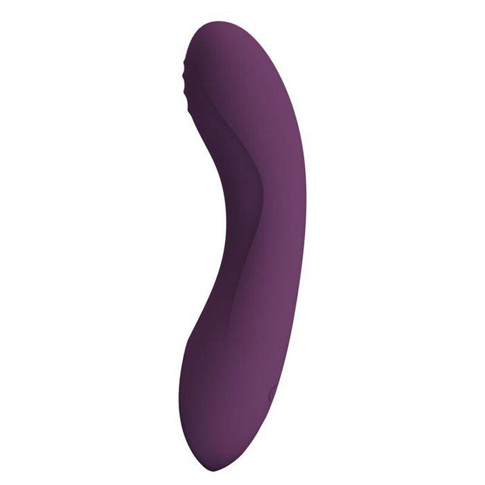 PRETTY LOVE - LLOYDE RECHARGEABLE VIBRATOR 10 FUNCTIONS PURPLE