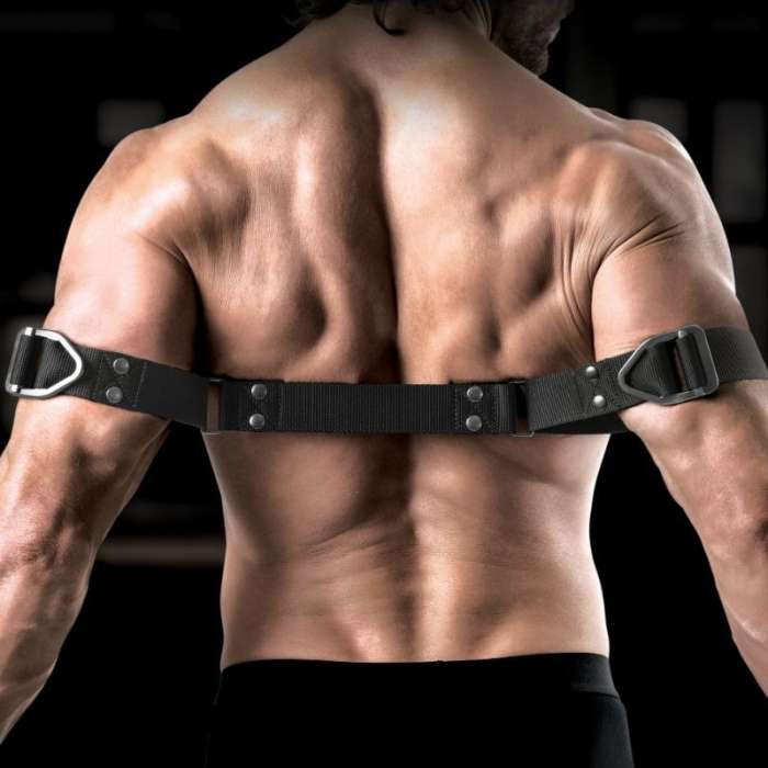 TIRAS PARA BICEPS - SIR RICHARDS